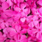 ch_image